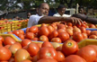 After onions, Tomato hits Rs 80/kg in Delhi